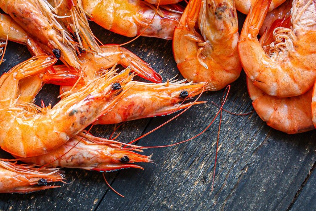 Where to buy jumbo prawns in Singapore?
